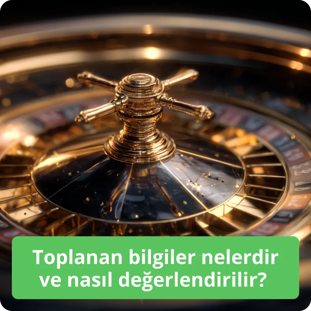 Hangi veriler toplanır ve ne için kullanılır? Toplanan bilgiler nelerdir ve nasıl değerlendirilir?
