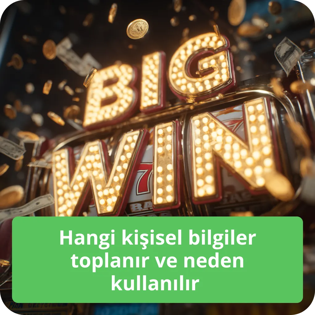 Toplanan kişisel veriler nelerdir ve hangi amaçlarla kullanılır? Hangi kişisel bilgiler toplanır ve neden kullanılır